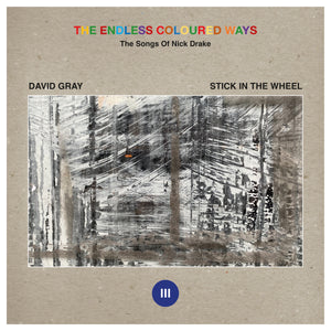David Gray b/w Stick In The Wheel Split "The Endless Coloured Ways" (Songs of Nick Drake) 7" Single (2023)
