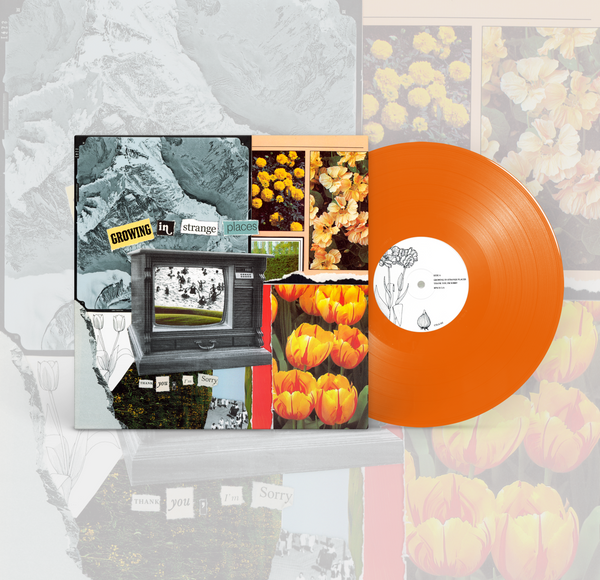 Thank You I'm Sorry "Growing in Strange Places" Orange Crush LP (2023)