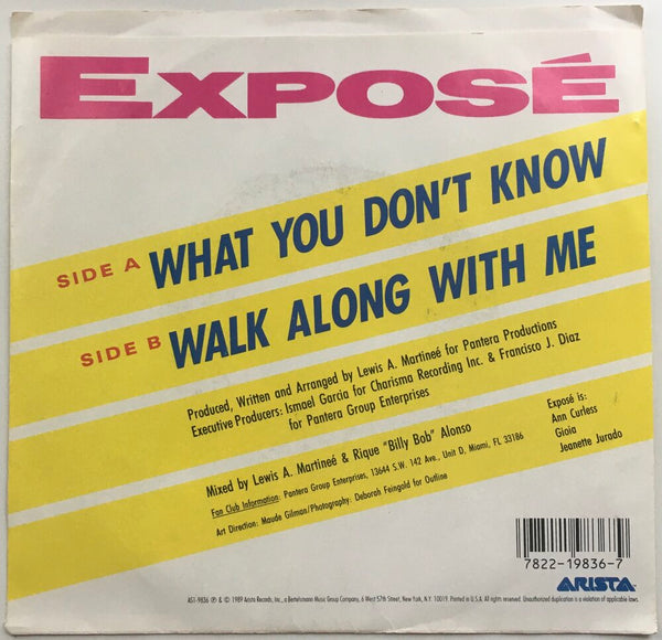 Expose, "What You Don't Know" Single (1987). Back cover image. Pop, dance, R&B.