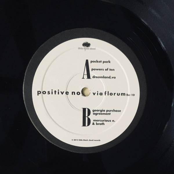 Positive No "Via Florum" 12" EP (2013)