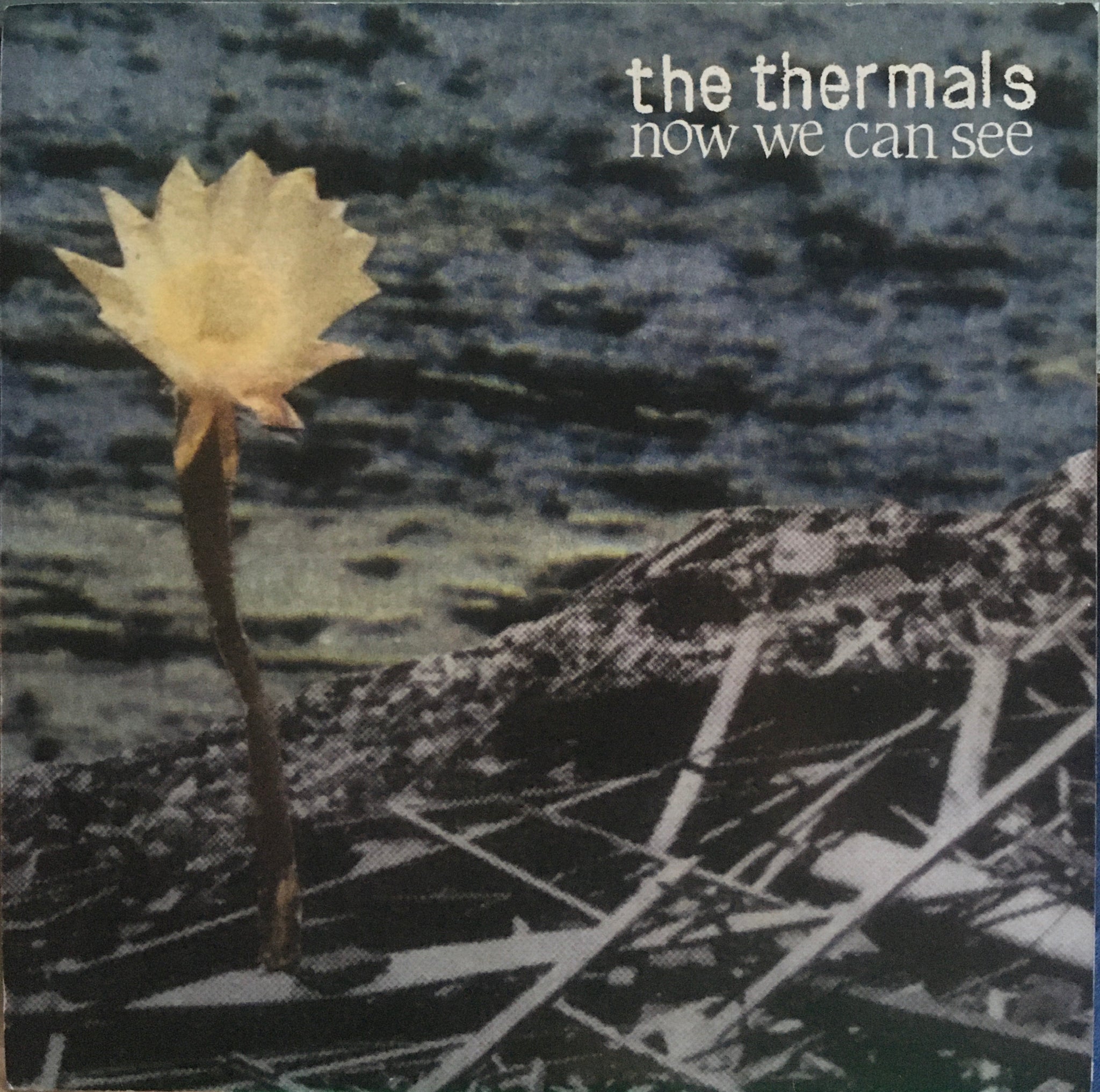 The Thermals "Now We Can See" Single (2009)