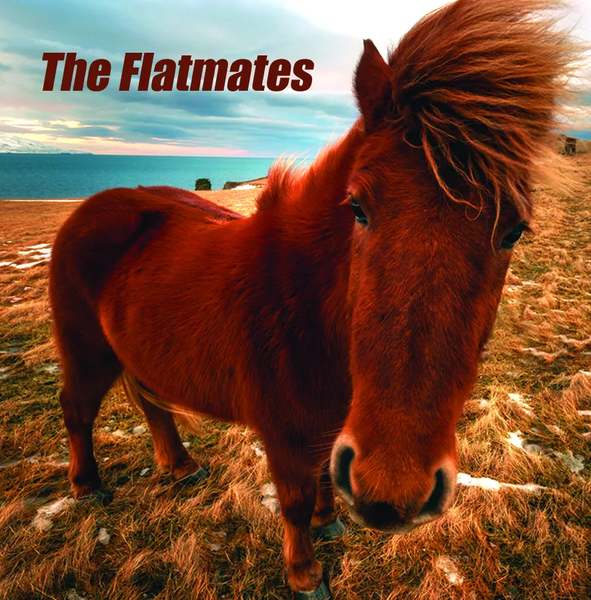 Flatmates "The Flatmates" White LP (2020)