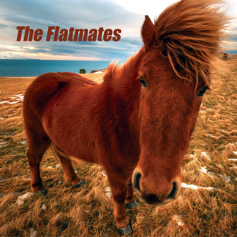 Flatmates "The Flatmates" LP (2020)