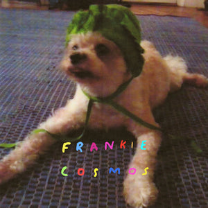 Frankie Cosmos "Zentropy" CD (2014)