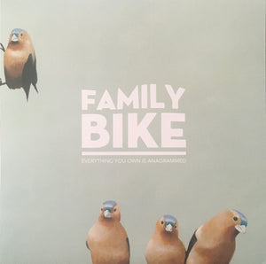 Family Bike “Everything You Own Is Anagrammed” LP (2015)