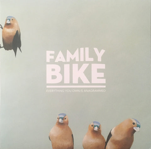 Family Bike “Everything You Own Is Anagrammed” LP (2015)